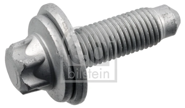 Bolt, brake caliper